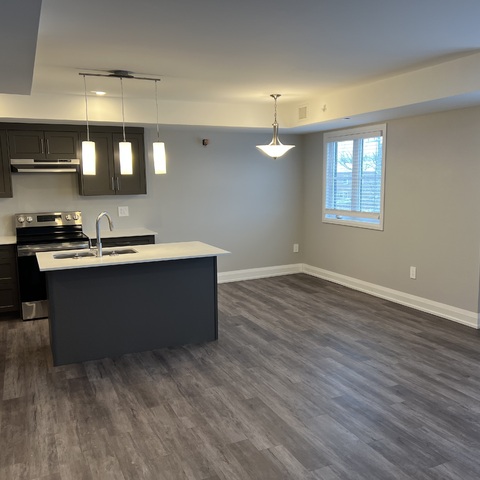 Kitchen 1 of [property_address]